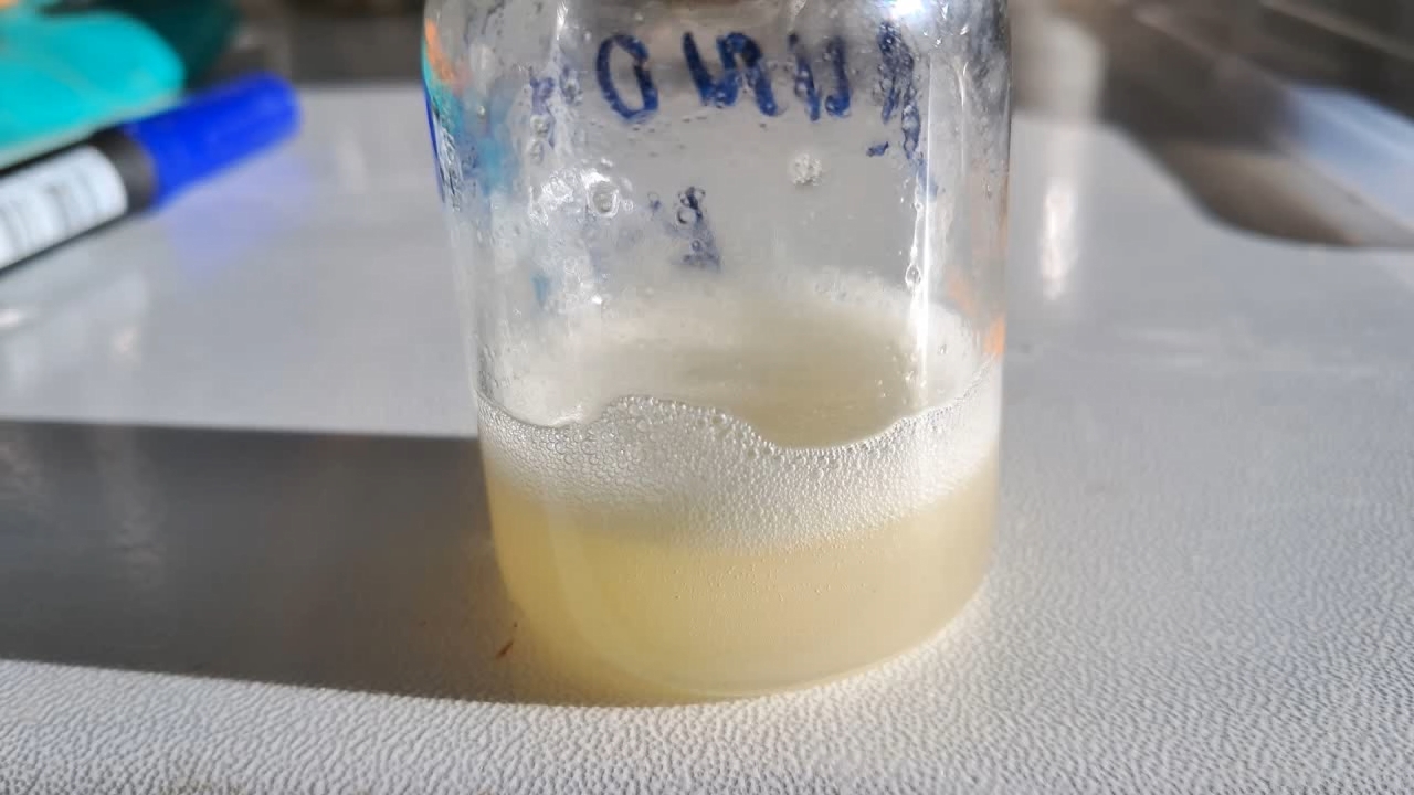 New Year's Day in the Laboratory. Dissolving Polystyrene in Dimethylformamide