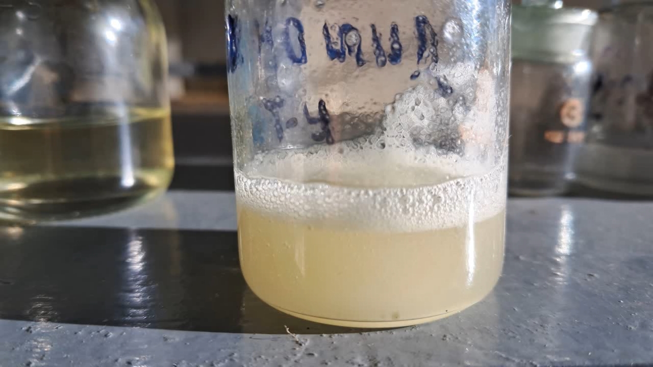 New Year's Day in the Laboratory. Dissolving Polystyrene in Dimethylformamide