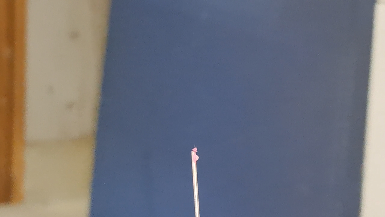 Electrospinning: Polyvinyl Chloride