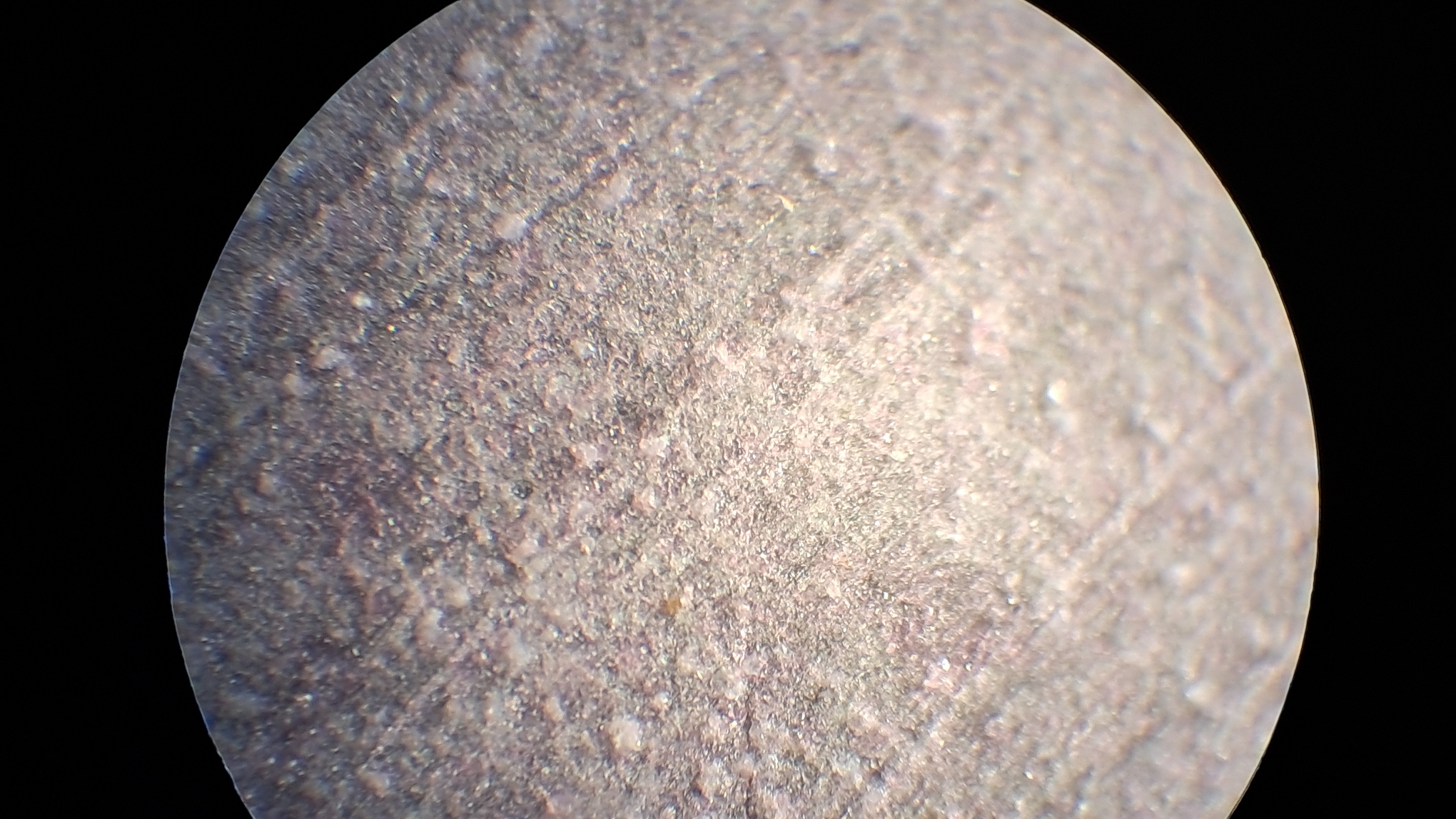 Electrospinning: Polyvinyl Chloride