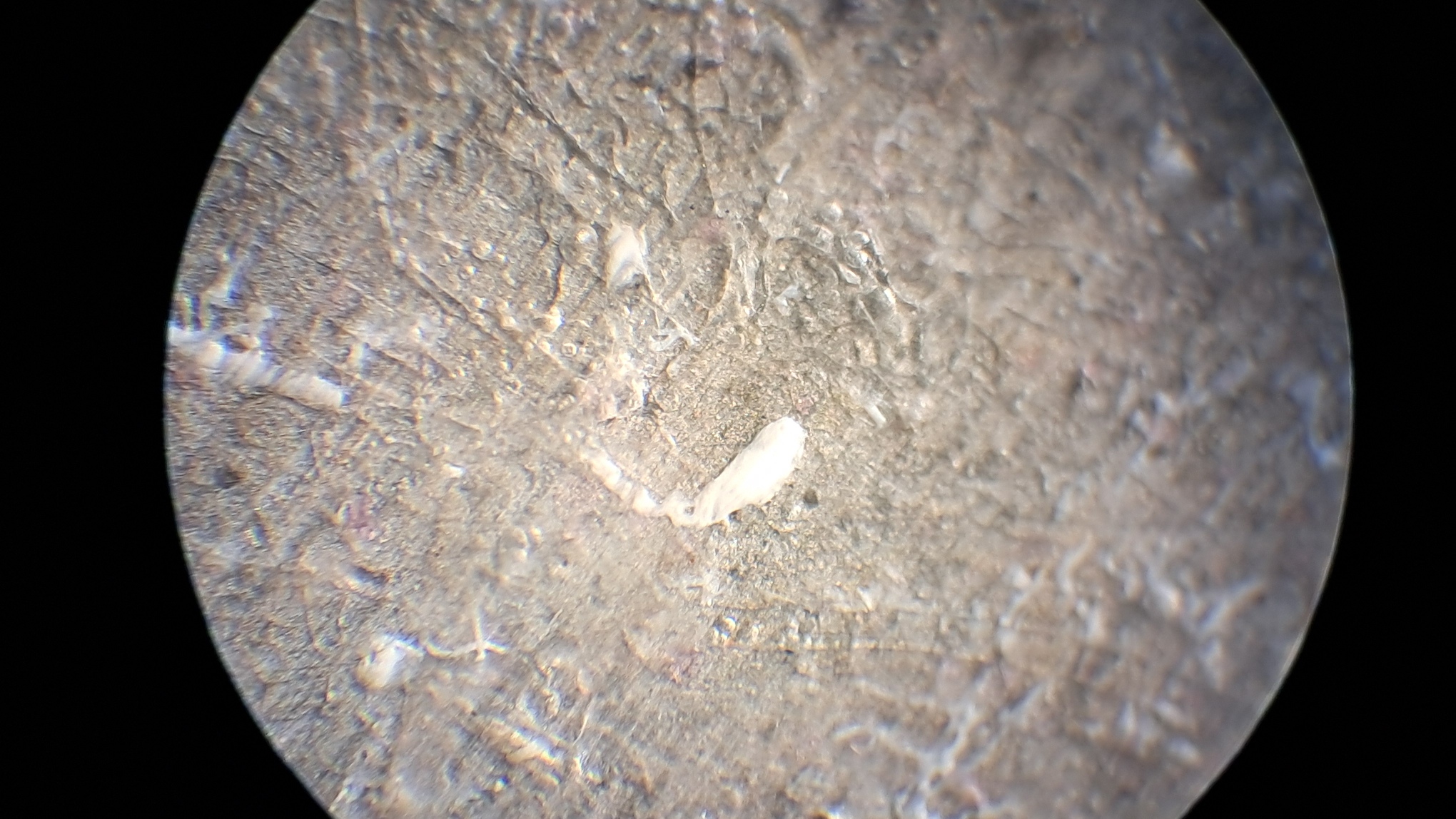 Electrospinning: Polyvinyl Chloride