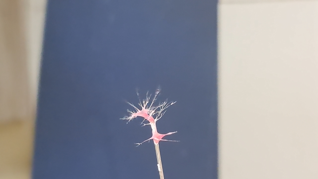 Electrospinning: Polyvinyl Chloride and Polystyrene