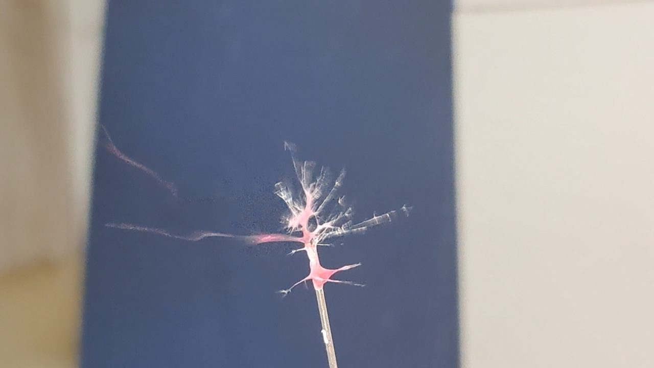 Electrospinning: Polyvinyl Chloride and Polystyrene