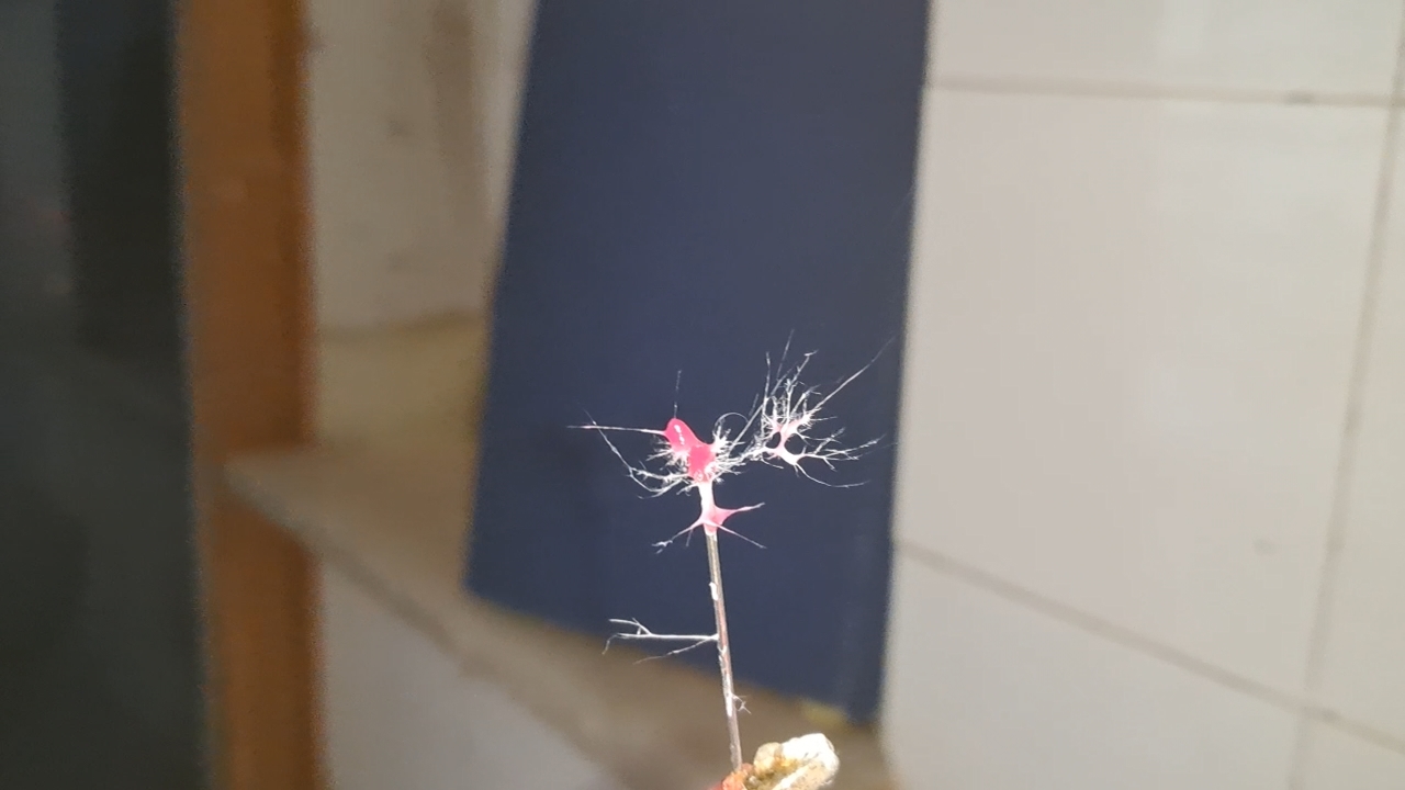 Electrospinning: Polyvinyl Chloride and Polystyrene