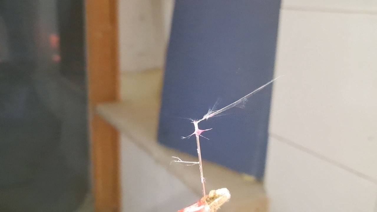 Electrospinning: Polyvinyl Chloride and Polystyrene