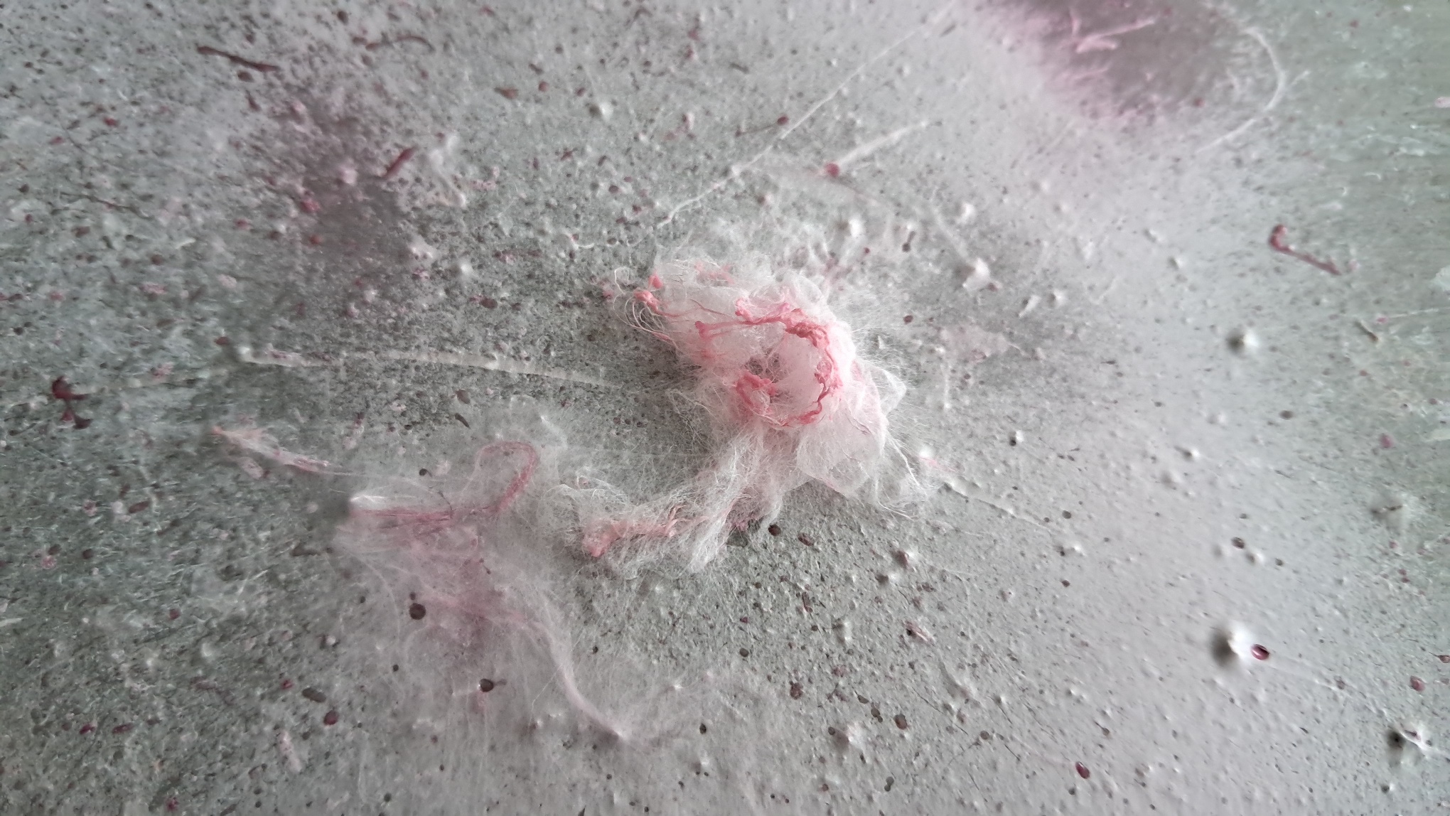 Electrospinning: Polyvinyl Chloride and Polystyrene