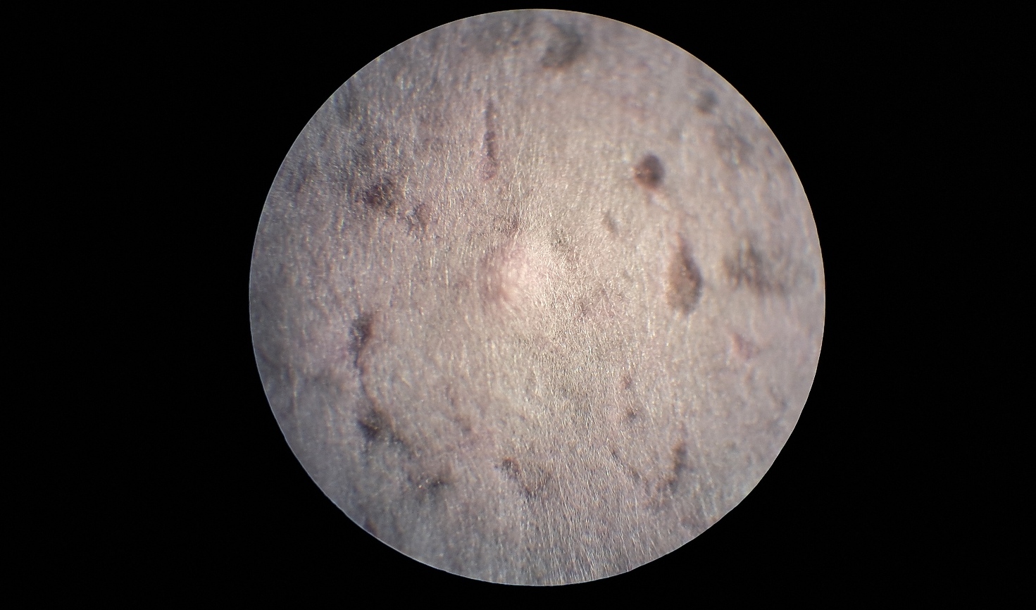 Electrospinning: Polyvinyl Chloride and Polystyrene