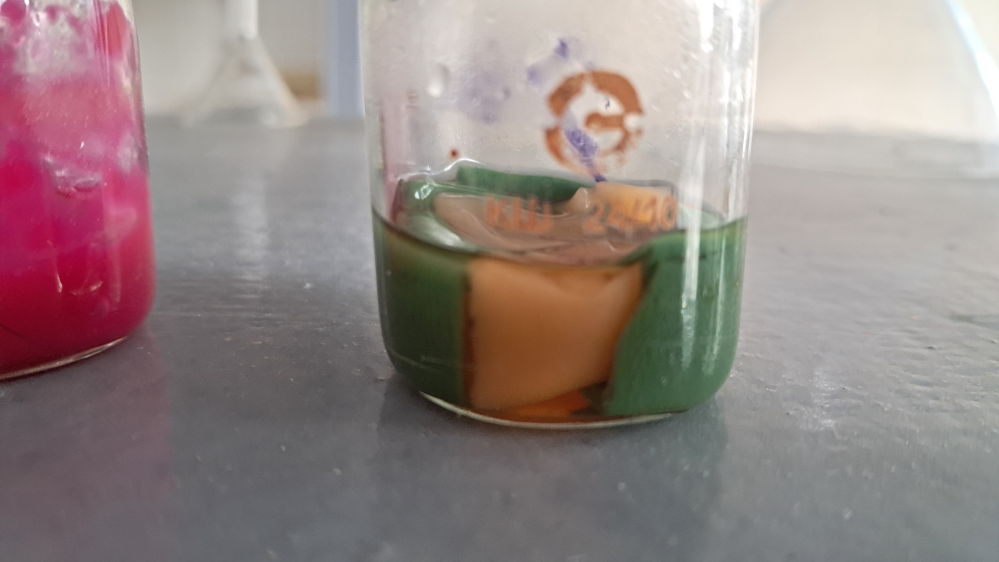 Electrospinning: Polyvinyl Chloride and Polystyrene