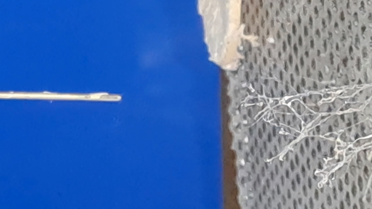 Electrospinning: Solution of PVDF in DMF