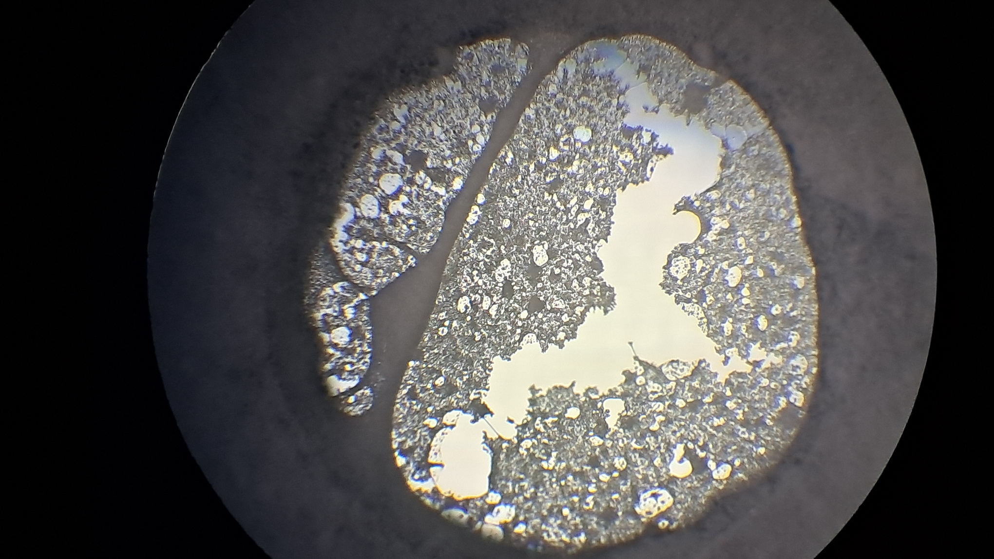 Electrospinning: Solution of PVDF in DMF