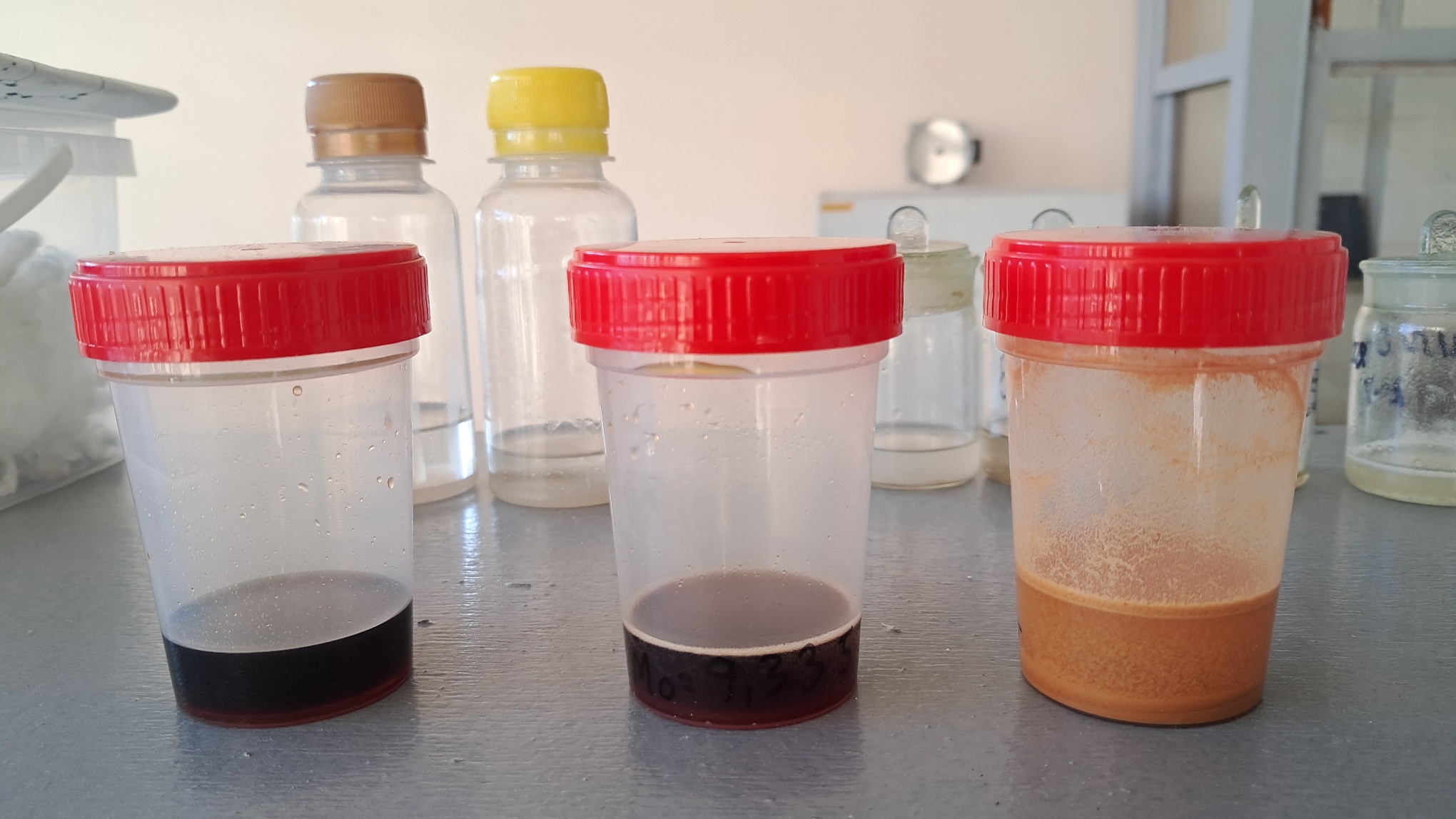 Electrospinning: Chitosan