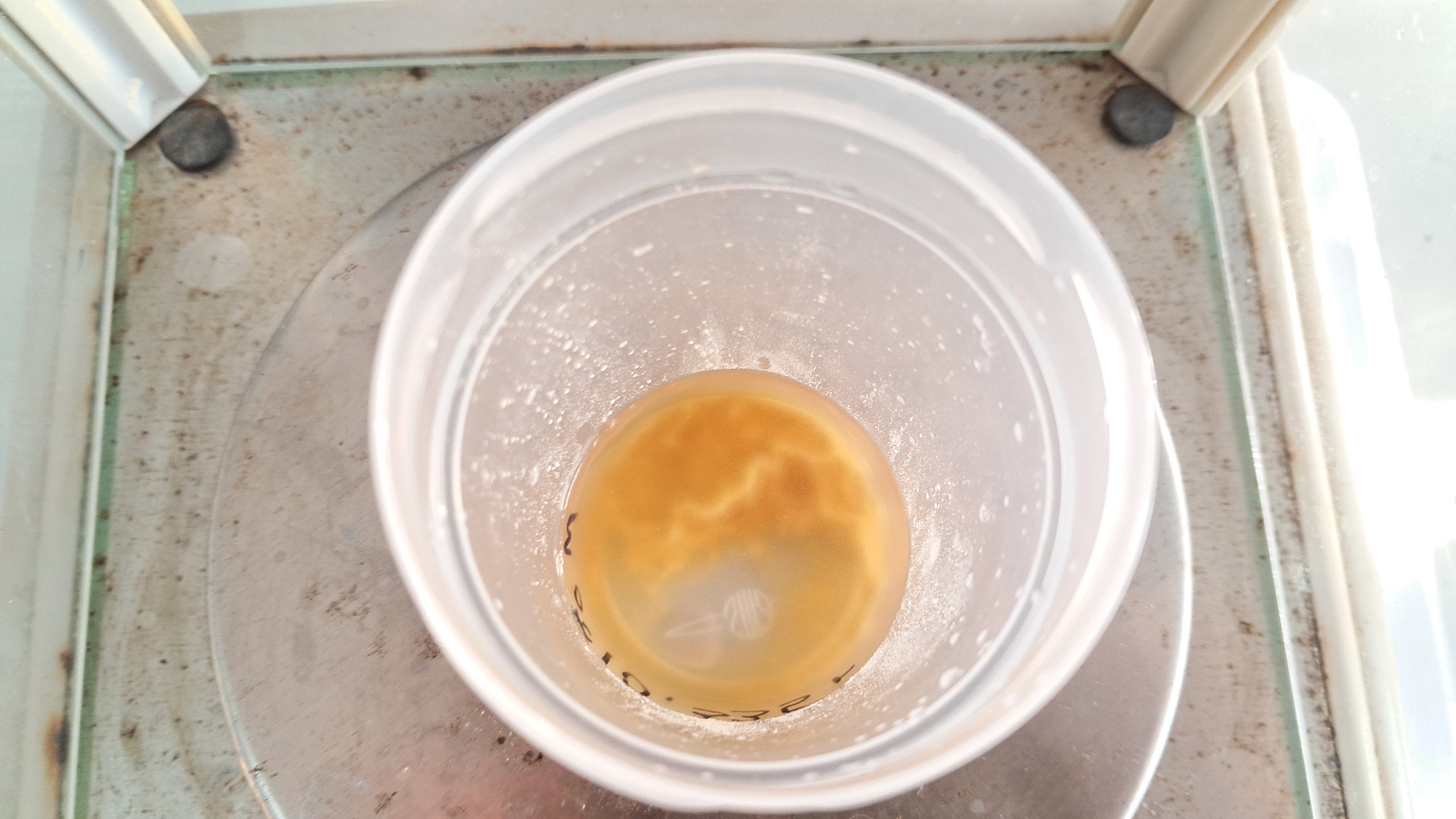 Electrospinning: Chitosan