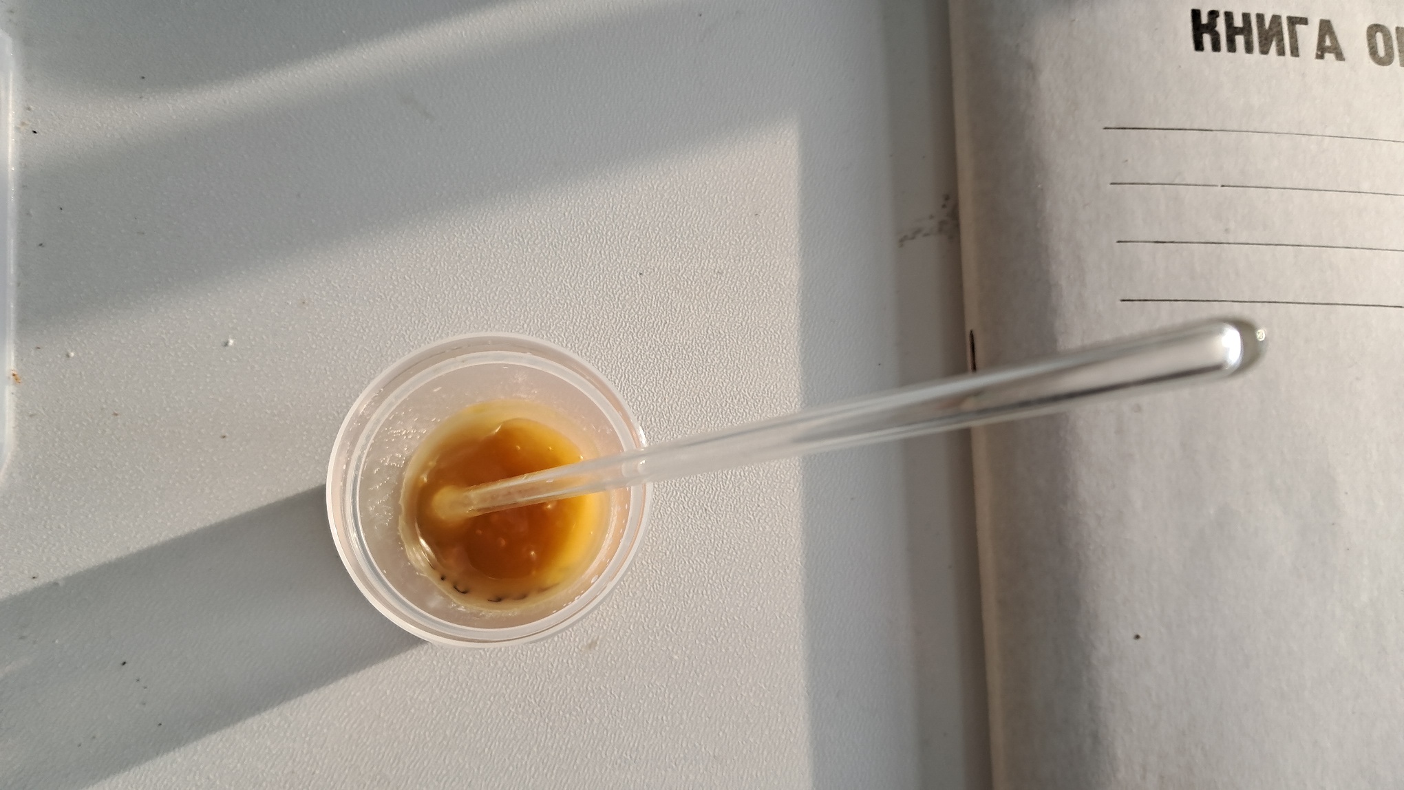 Electrospinning: Chitosan