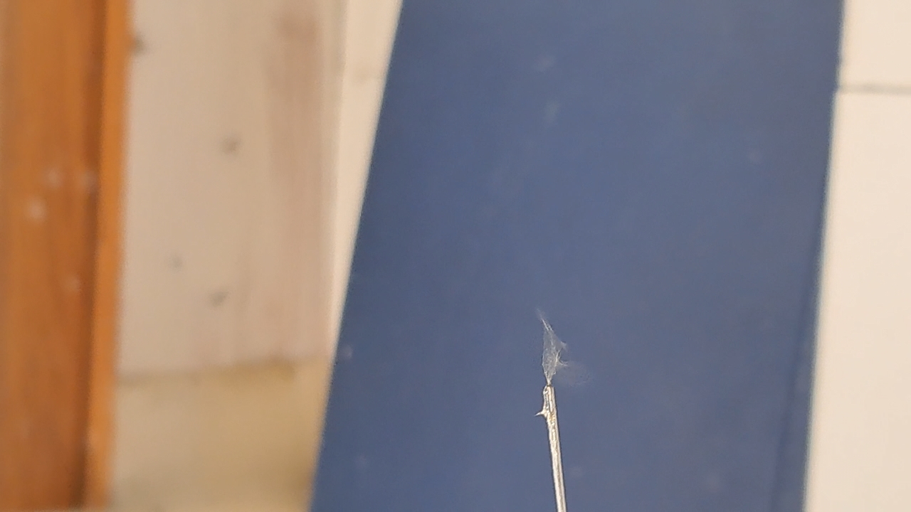 Electrospinning: Chitosan