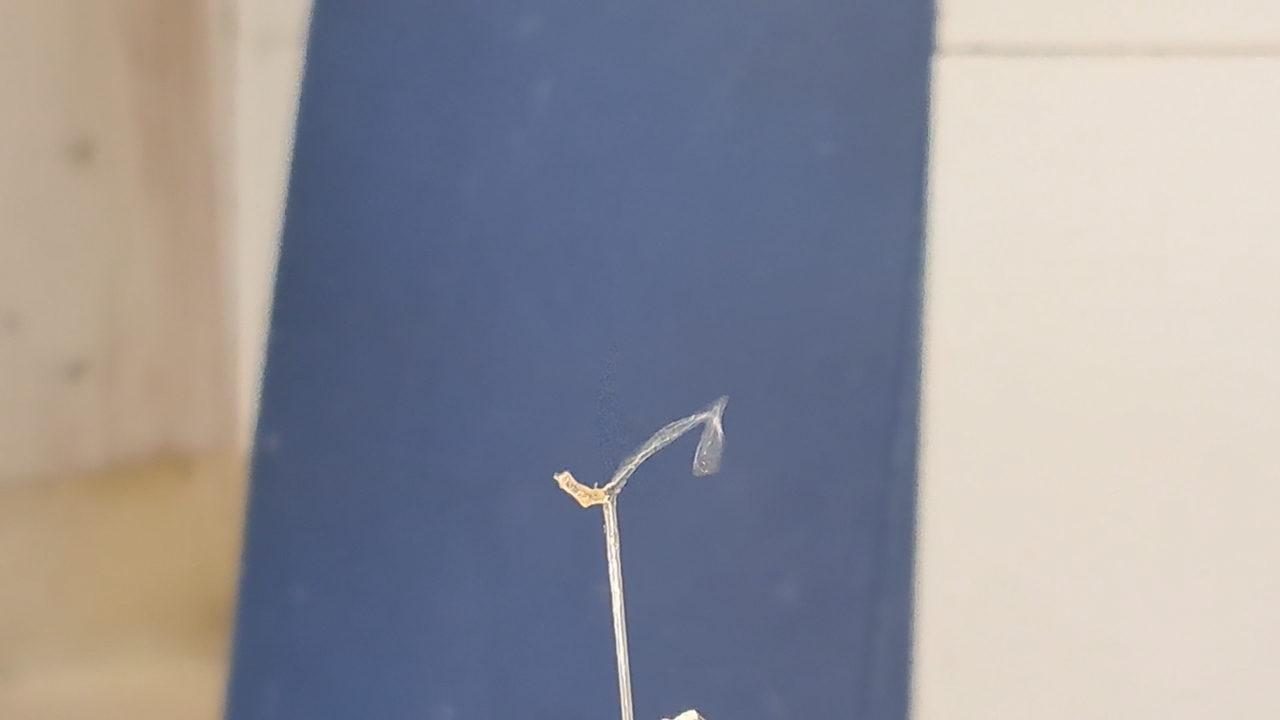 Electrospinning: Chitosan