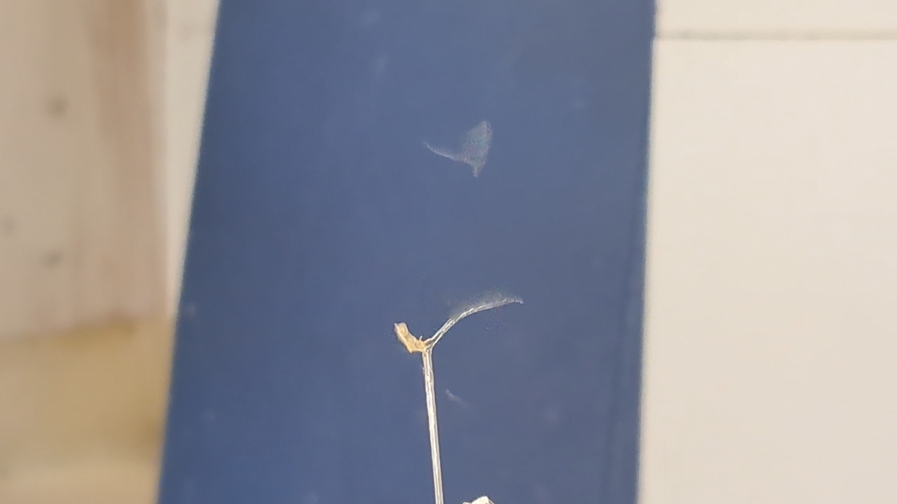 Electrospinning: Chitosan