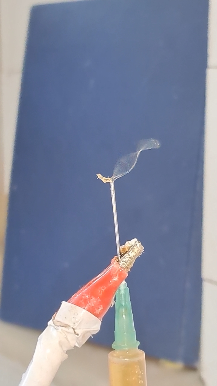 Electrospinning: Chitosan