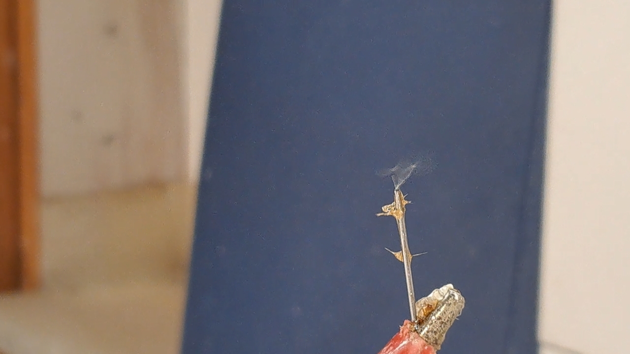 Electrospinning: Chitosan