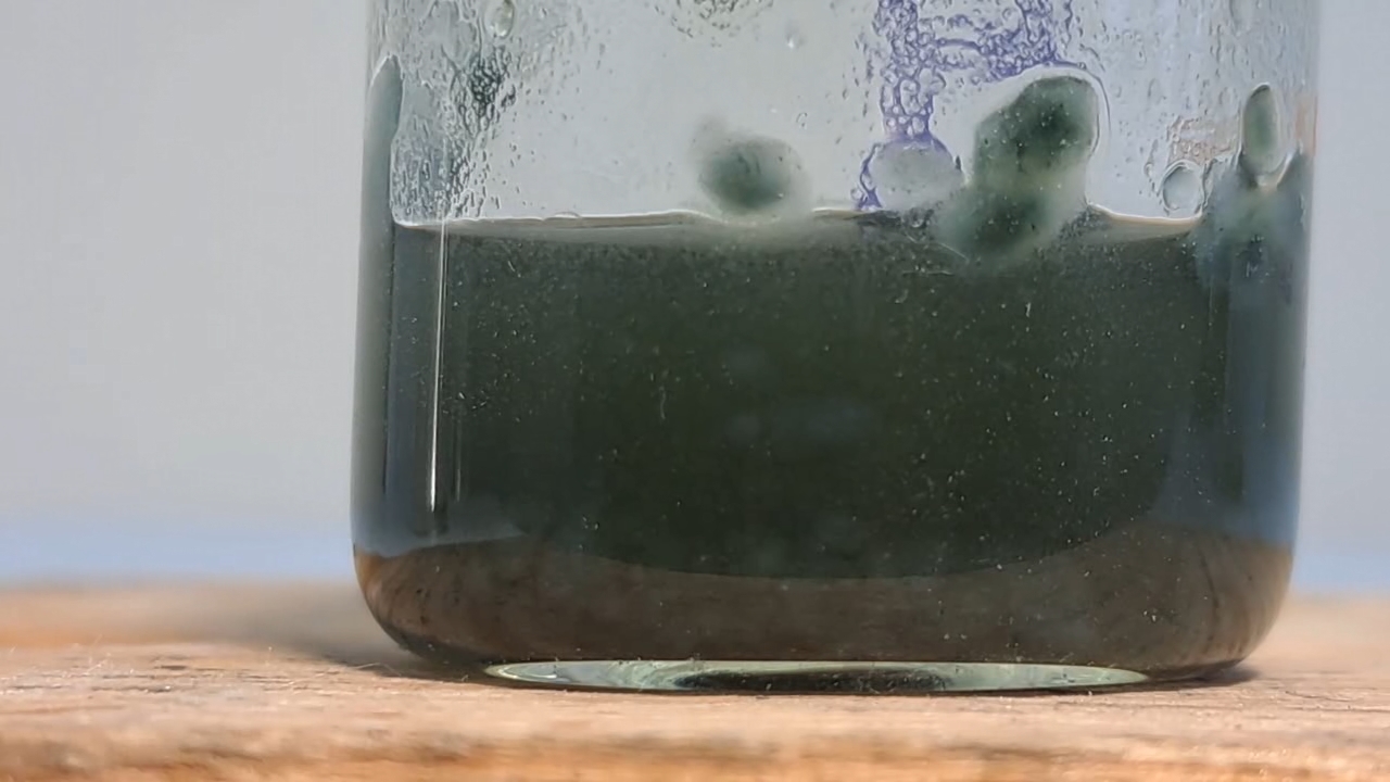 Electrospinning: Nitrocellulose