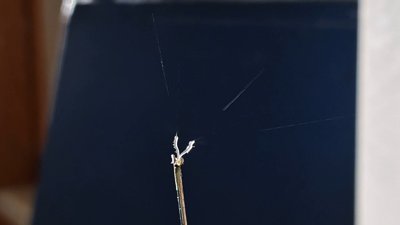 Electrospinning: Nitrocellulose