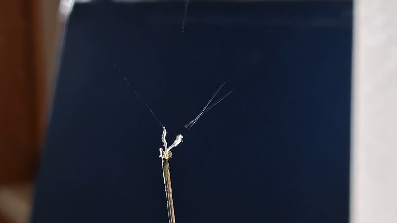 Electrospinning: Nitrocellulose