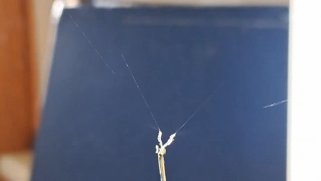 Electrospinning: Nitrocellulose