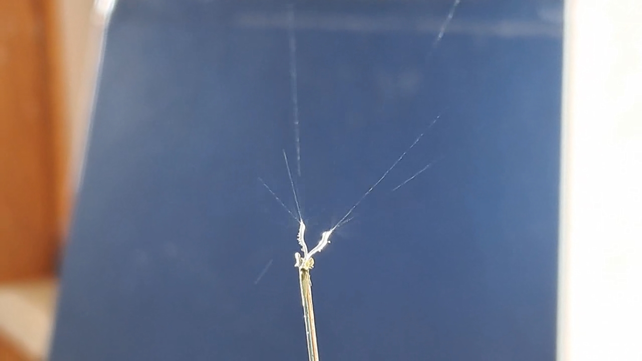 Electrospinning: Nitrocellulose