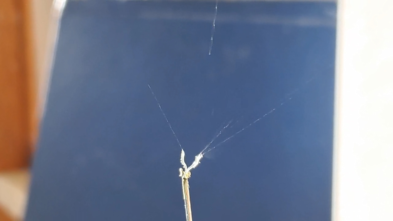 Electrospinning: Nitrocellulose