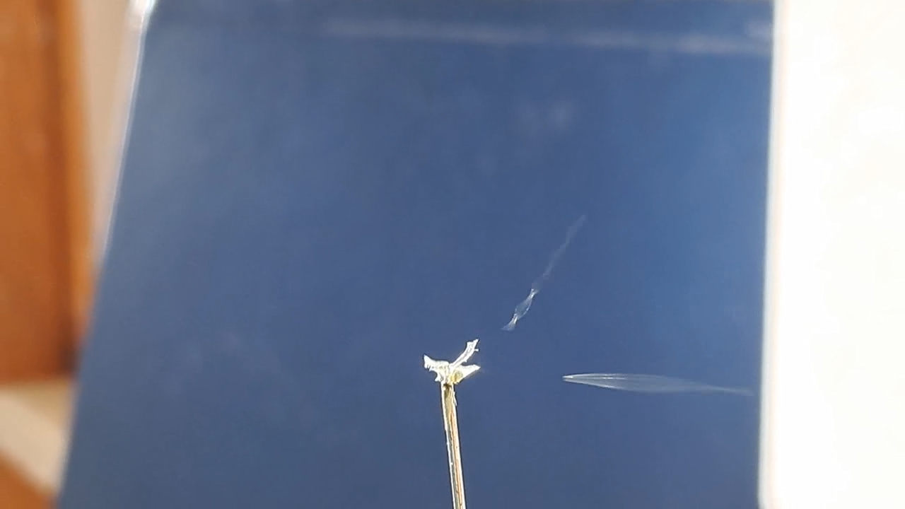 Electrospinning: Nitrocellulose