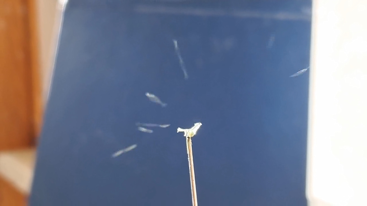 Electrospinning: Nitrocellulose