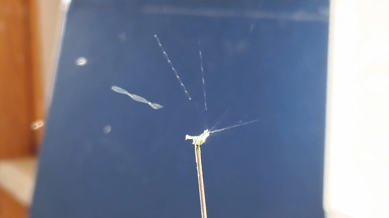 Electrospinning: Nitrocellulose