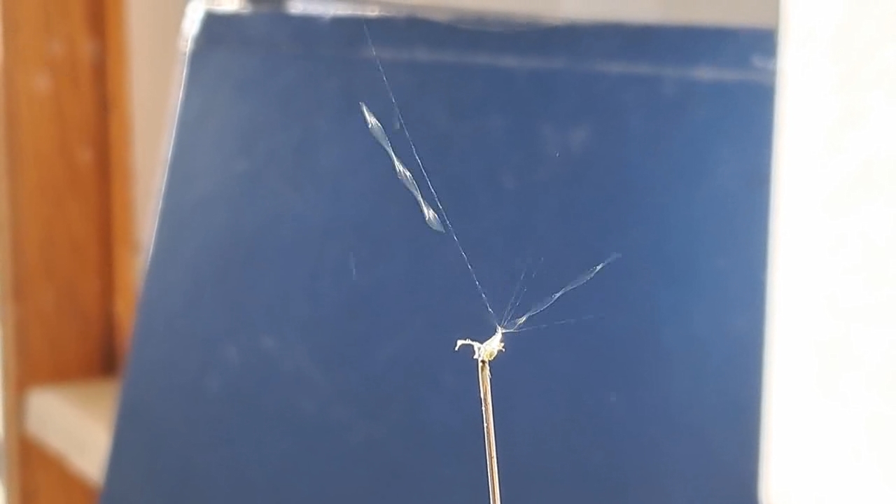 Electrospinning: Nitrocellulose