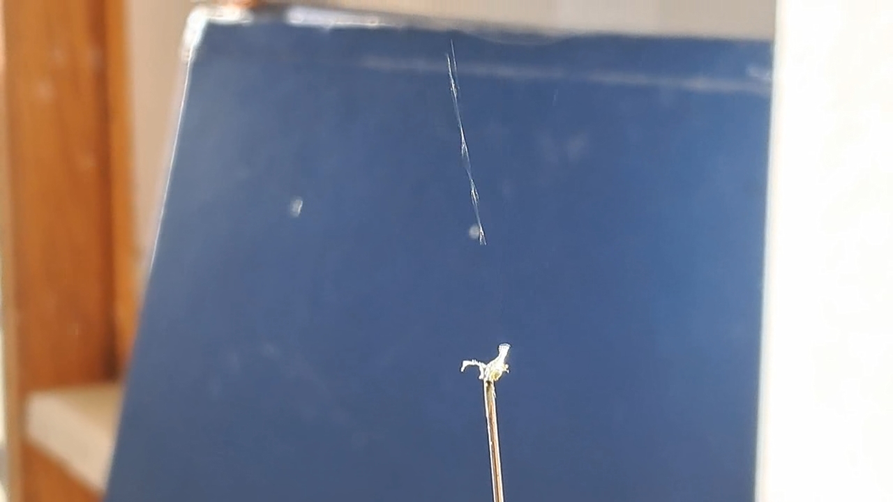 Electrospinning: Nitrocellulose