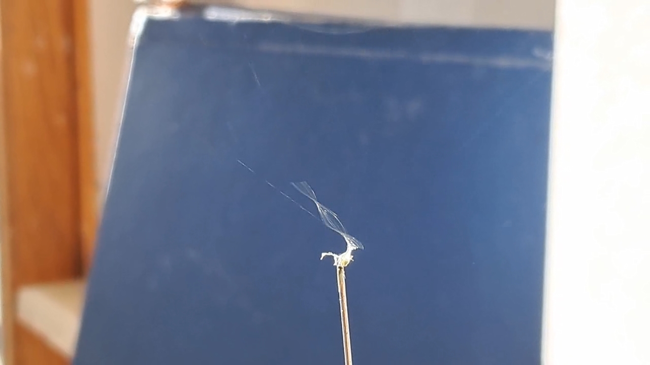 Electrospinning: Nitrocellulose