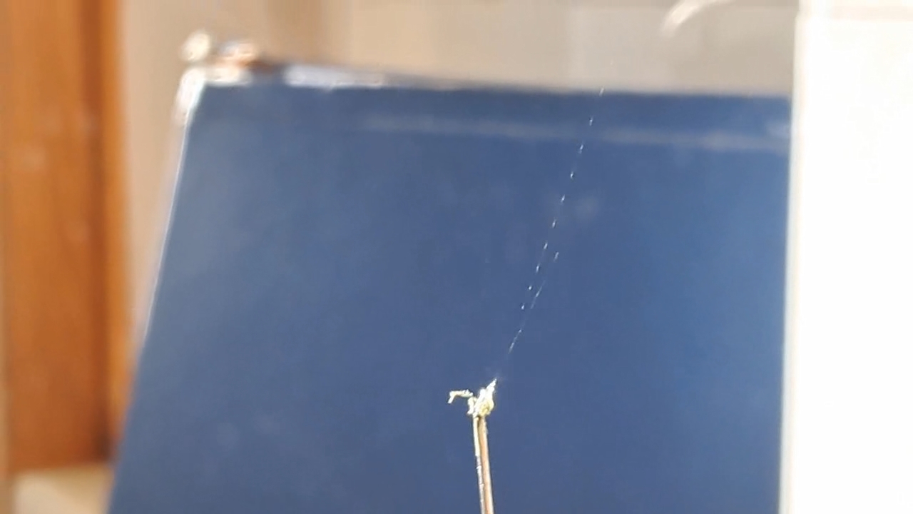 Electrospinning: Nitrocellulose