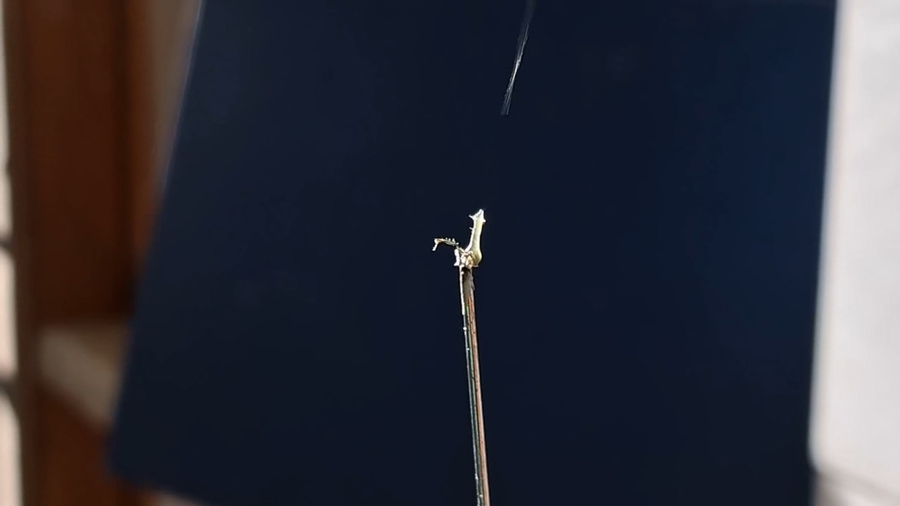 Electrospinning: Nitrocellulose