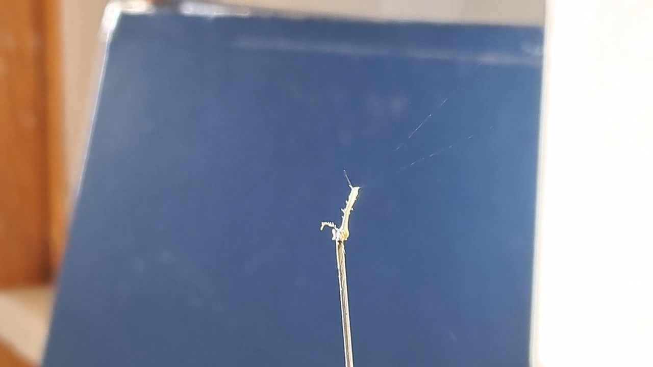 Electrospinning: Nitrocellulose