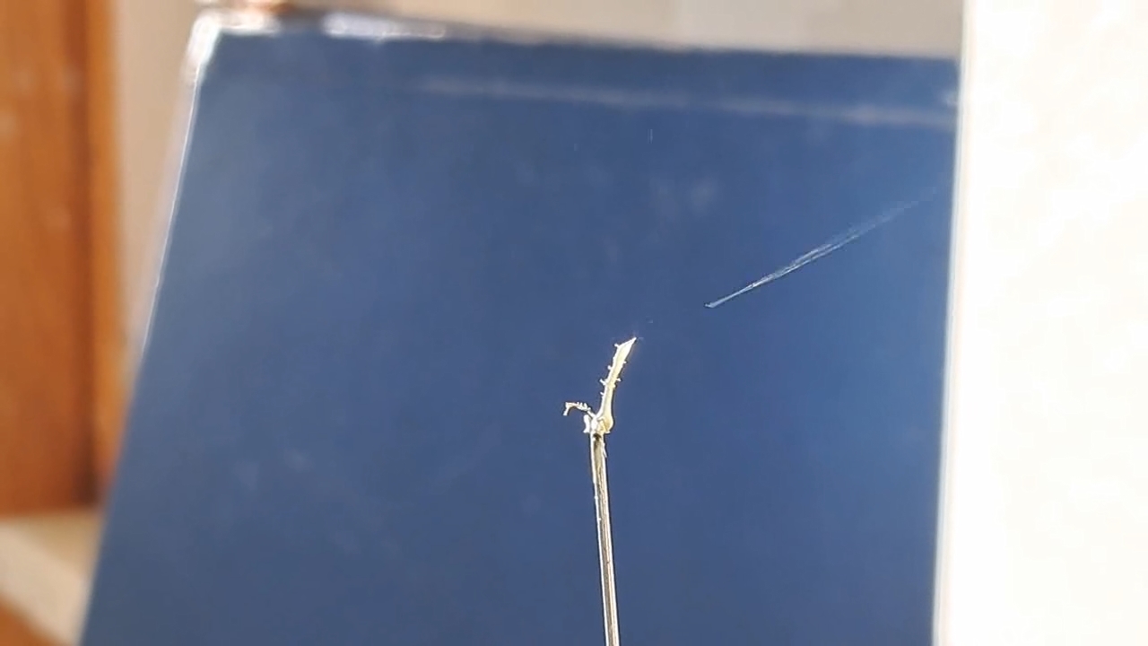 Electrospinning: Nitrocellulose