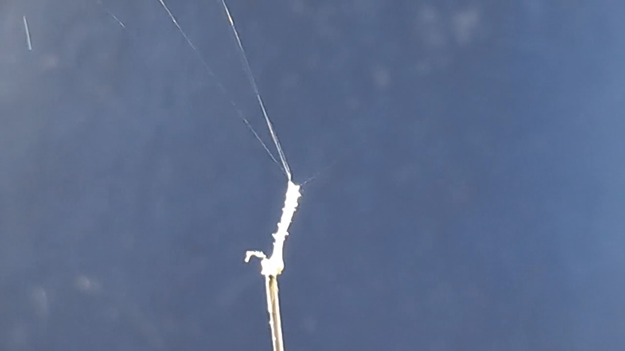 Electrospinning: Nitrocellulose