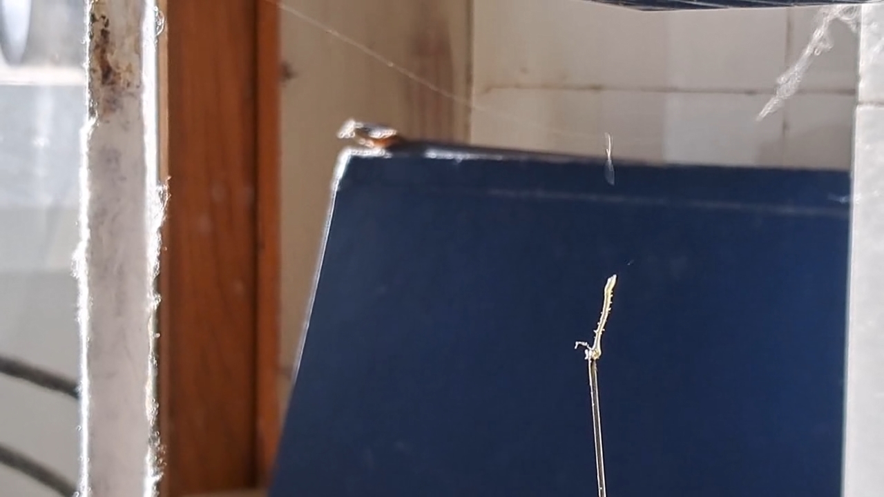 Electrospinning: Nitrocellulose