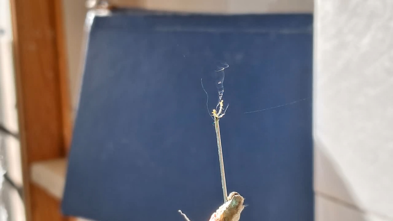 Electrospinning: Nitrocellulose