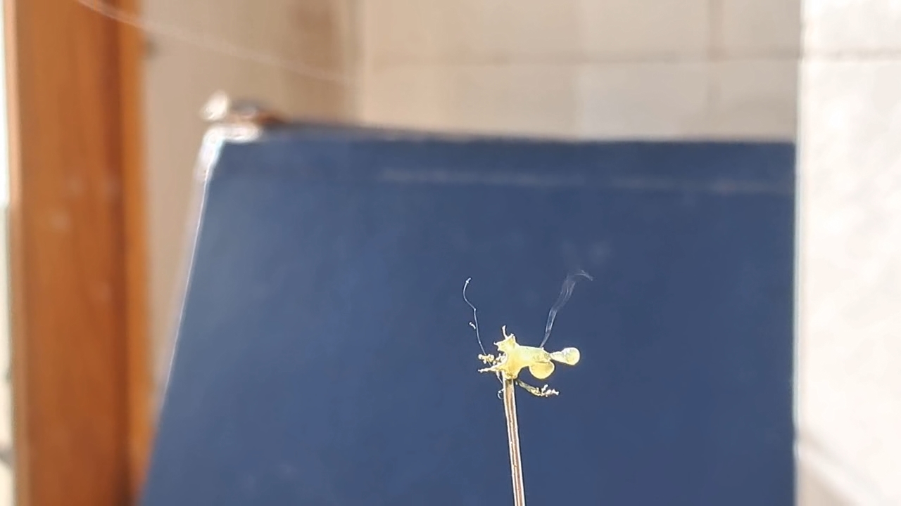 Electrospinning: Nitrocellulose