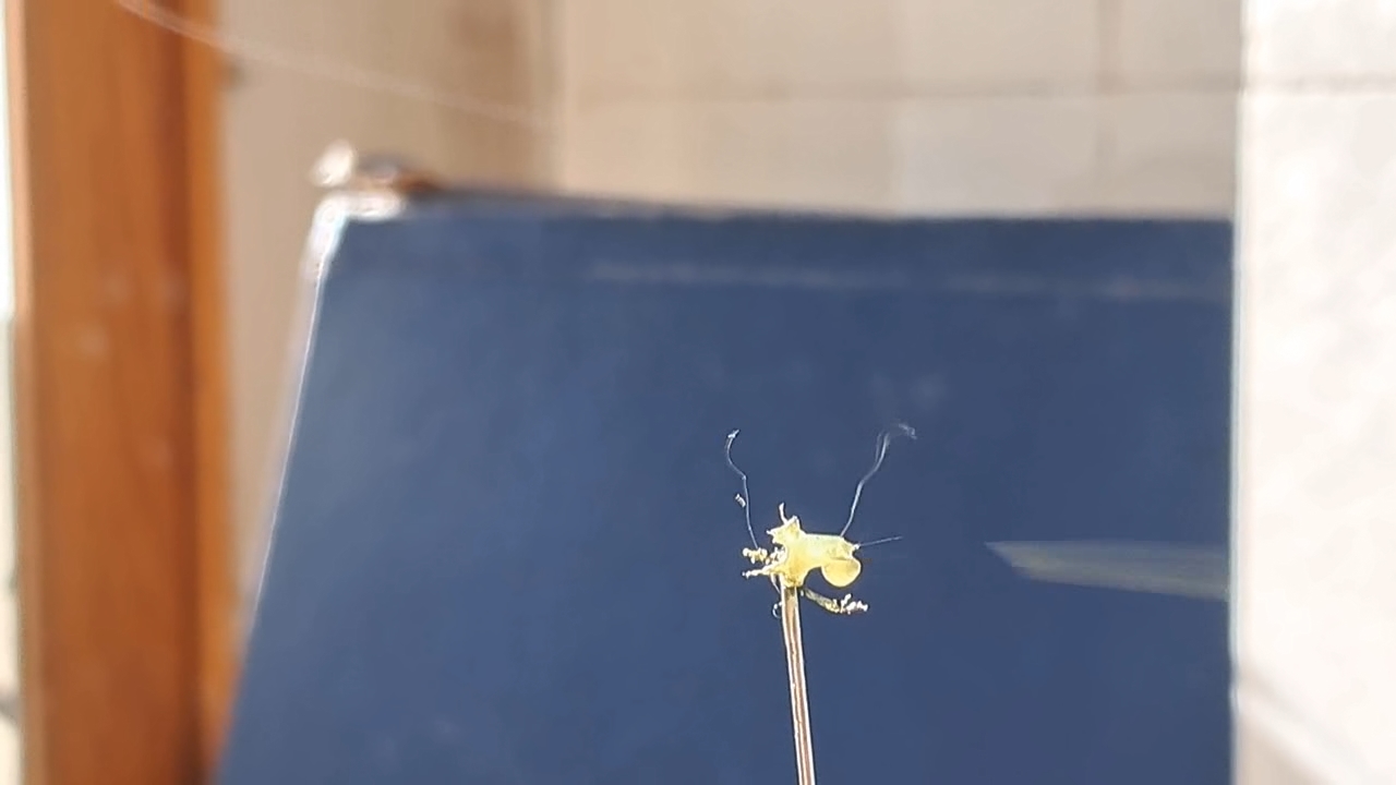 Electrospinning: Nitrocellulose