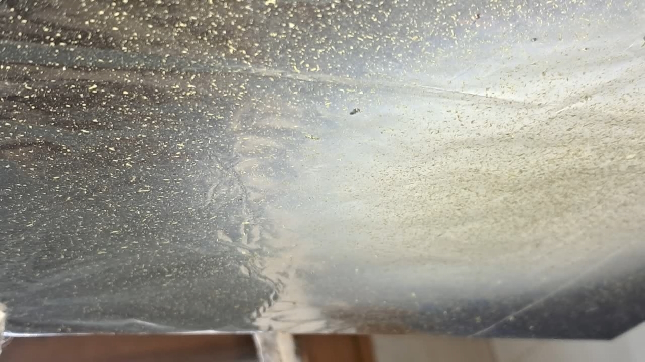 Electrospinning: Nitrocellulose