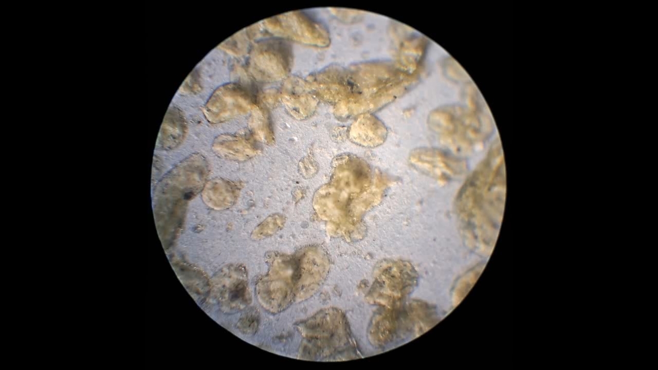 Electrospinning: Nitrocellulose