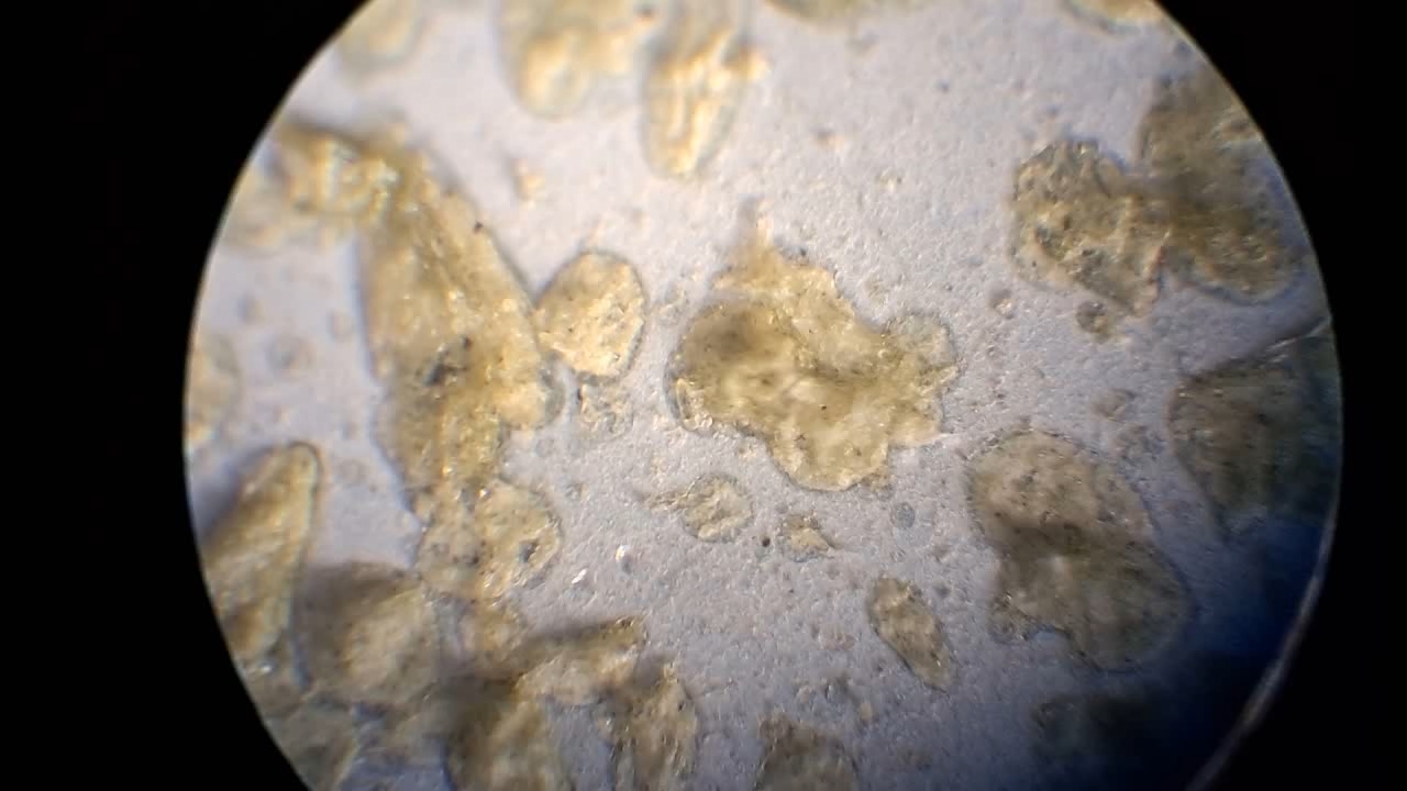 Electrospinning: Nitrocellulose