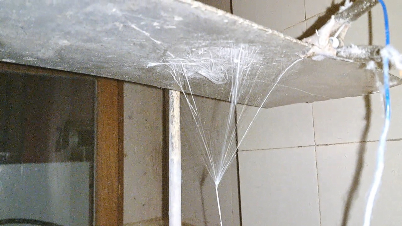 Electrospinning: Solution of Polymethyl Methacrylate (PMMA) in Methylene Chloride