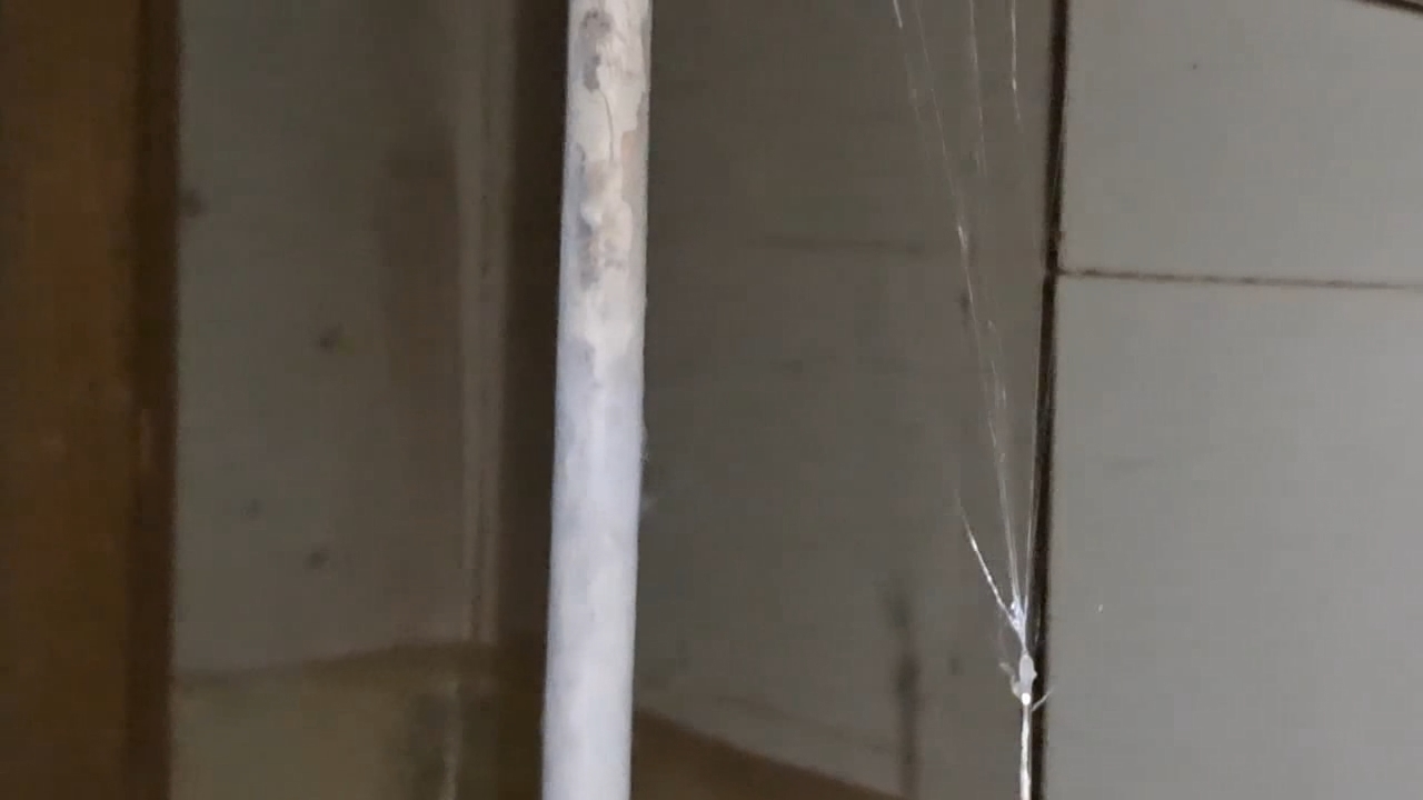 Electrospinning: Solution of Polymethyl Methacrylate (PMMA) in Methylene Chloride