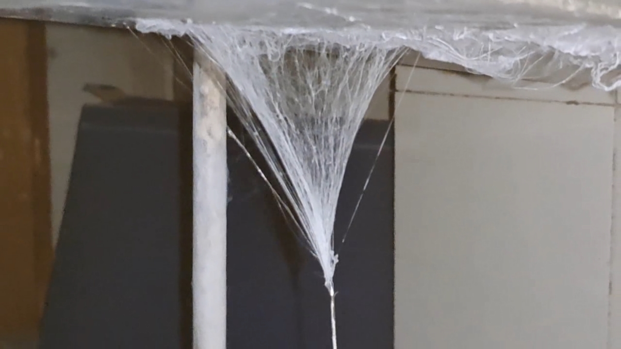 Electrospinning: Solution of Polymethyl Methacrylate (PMMA) in Methylene Chloride