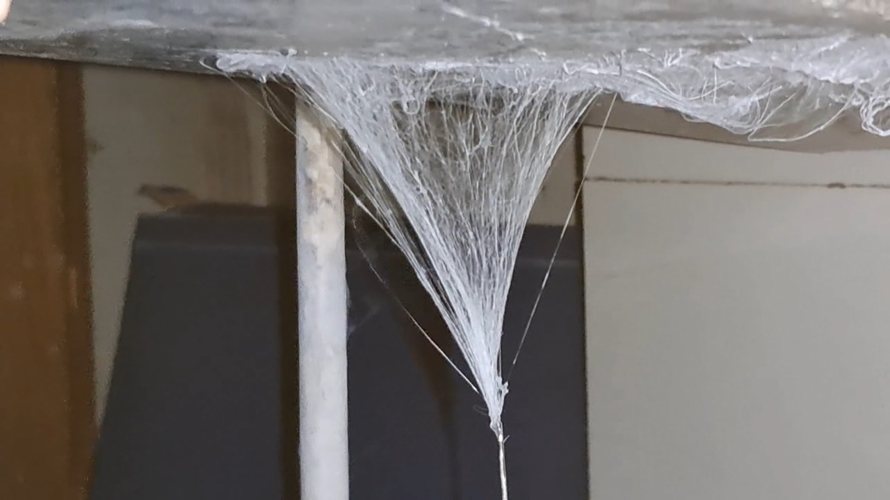 Electrospinning: Solution of Polymethyl Methacrylate (PMMA) in Methylene Chloride